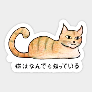 Cats Know Everything - Japanese Sticker